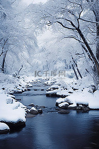 米背景图片_日本积雪森林中的一条河流