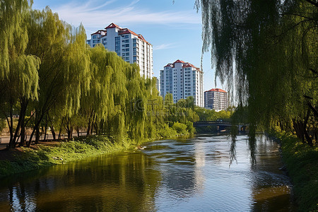 靠近建筑物的城市河流，有树木和建筑物