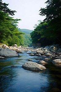 古诗瀑布背景图片_一条河流，位于一个有岩石和树木的美丽地区