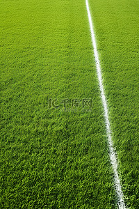 草地上有线的足球场
