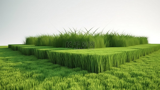 3D 渲染中的建筑设计隔离绿草场