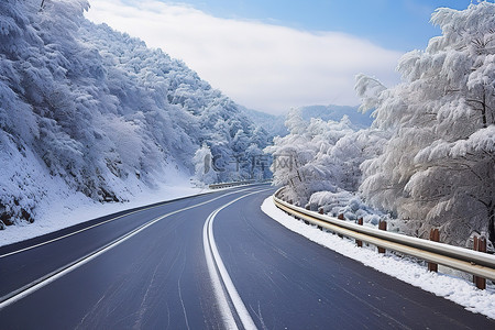 台湾冬季积雪树木的道路