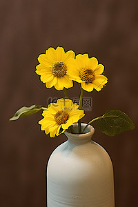 三色花背景图片_花瓶里的三朵黄色花