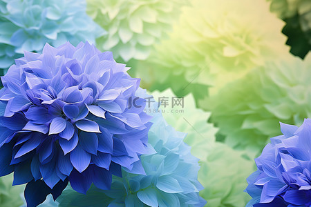 蓝色紫色绿色花朵背景