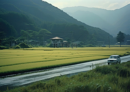 稻田村庄背景图片_以山为背景的路上的稻田