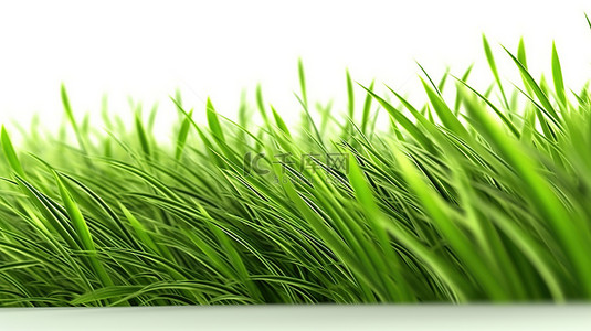 2021快乐背景图片_风景秀丽的草地背景的 3d 渲染
