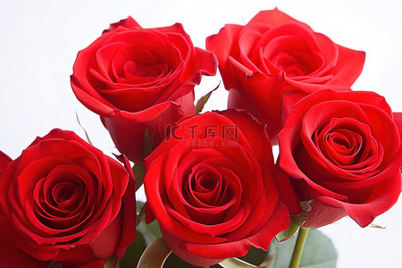 白色花瓶里的一束红玫瑰