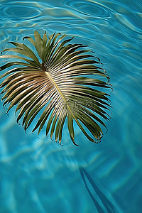 一片棕榈叶漂浮在泳池的水面上