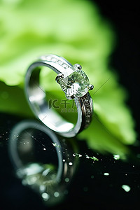 系列背景图片_ifaeries 婚礼系列的精美戒指
