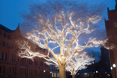 城市里一棵亮着灯的白树