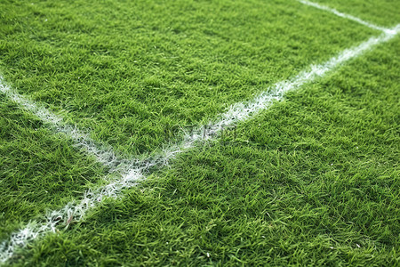 足球场足球场背景图片_草地上用白线画了一个足球场