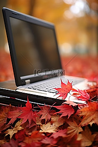 芝加哥秋季公园笔记本电脑桌面上的红叶