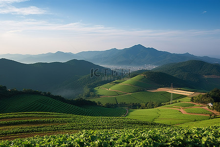 猴子下山背景图片_从韩国北道的 Kaek 山谷看到午后阳光下山上庄稼的景色