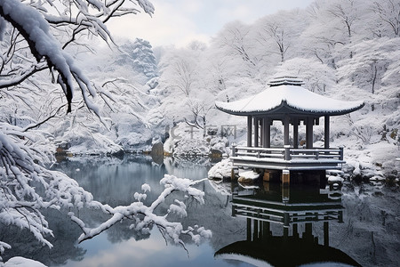 冬天雪景和人背景图片_一个池塘被树木和雪覆盖