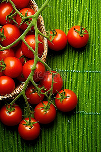 番茄生长背景图片_生长在绿草上的西红柿