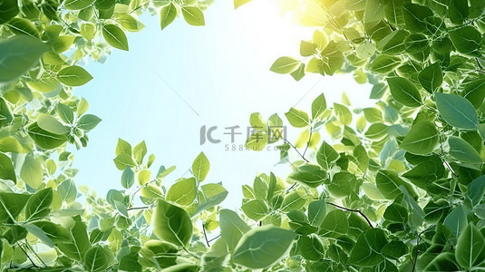 公园手绘背景图片_3D 渲染中华丽的绿叶夏季背景