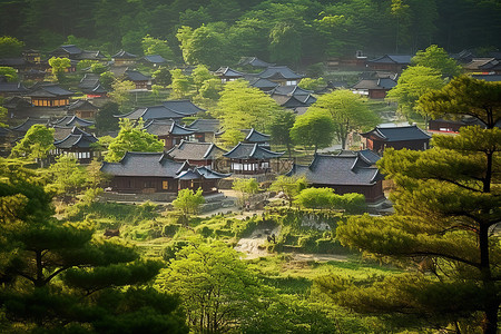 韩国 奈良 Soe 村