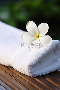上面坐着一朵花的白毛巾