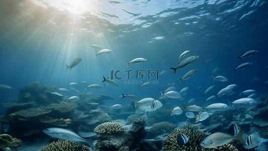 海洋世界吊饰背景图片_海洋日鱼群阳光真实背景