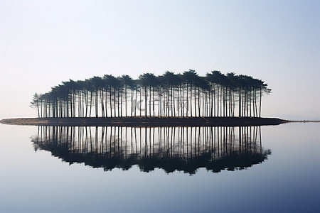 云松树背景图片_湖面倒影