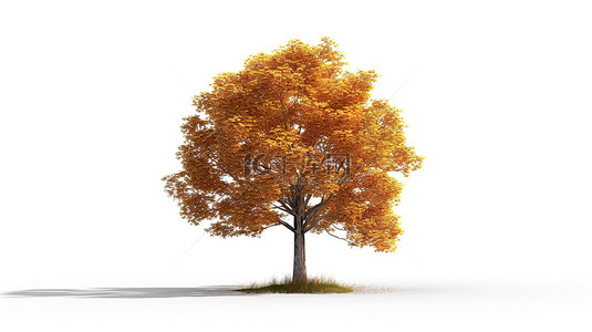 白色背景下独立站立的落叶树的 3d 渲染
