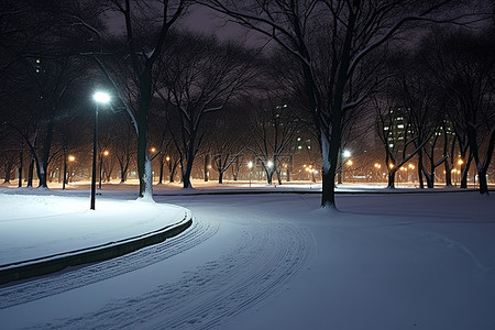 晚上的公园，有树木和积雪的道路