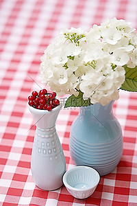 花瓶绣球花背景图片_两个花瓶，白花和一个花盆