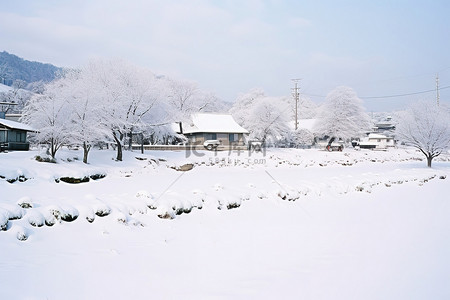 雪中的小房子背景图片_雪景中的冬季小房子