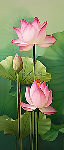 绿色植物特写背景图片_背景中绿色植物顶部的两朵粉红色莲花