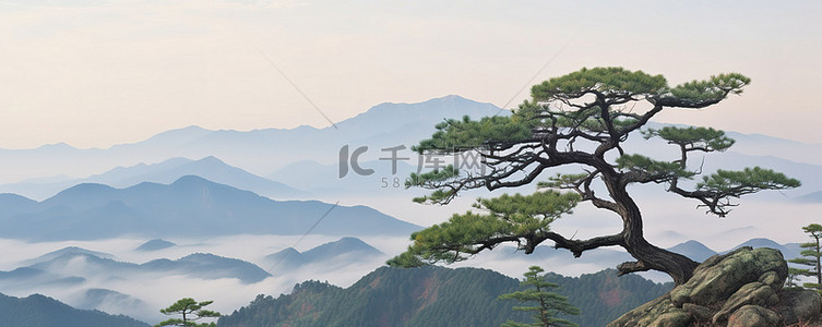 公园的早晨景背景图片_松树站在山上俯瞰山谷
