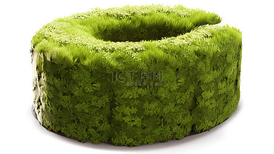 小新清空气袜背景图片_真实的 3D 绿草圈在孤立的白色背景上夏季清新和自然之美