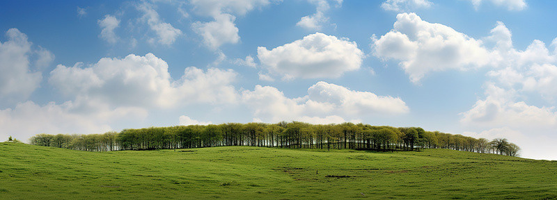 一片绿色的田野，绿草如茵，天空下有云彩