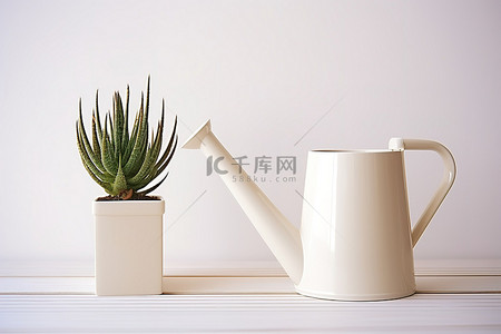 汁背景图片_两个白色喷壶坐在喷壶和多汁植物旁边