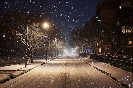 雪落背景图片_晚上雪落在雪路上