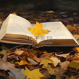 一本打开的书被放置在落叶中