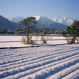 农村娃挑水的背景图片_周围有一些雪的田野