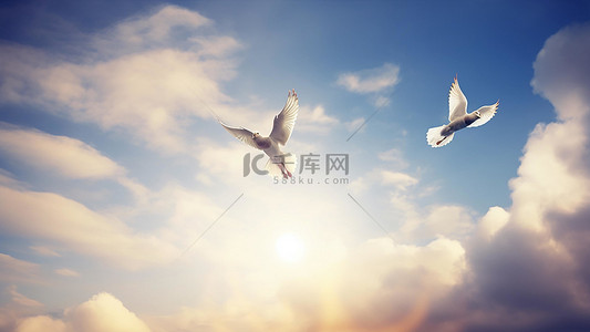 动物鸽子背景图片_天空梦幻星云飞鸟