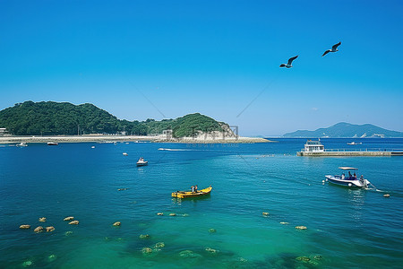 海上的鸟背景图片_一只鸟盘旋在几艘船和一座岛屿附近的水域上空