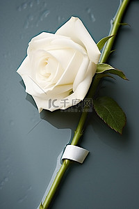 一朵白玫瑰，形状像管子，上面贴着胶带