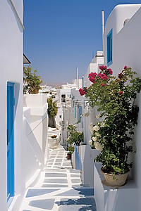 欧洲背景图片_一条有白色房屋和盆栽植物的街道