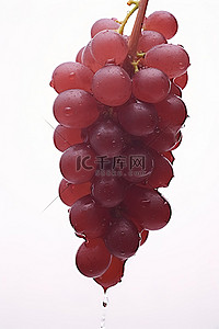 红葡萄背景图片_关闭成熟的红葡萄