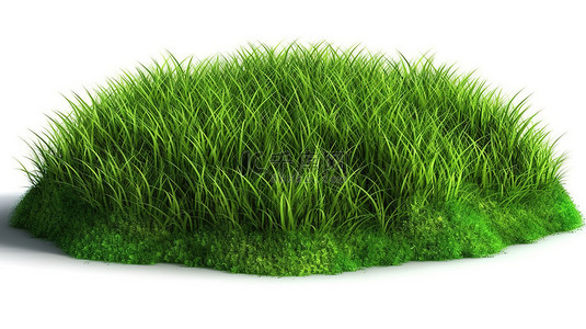 3d 渲染中孤立的绿草地