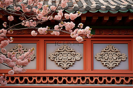 花卉樱花背景图片_一扇大窗户，上面有樱花