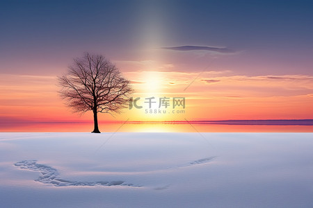 夕阳背景下，一棵孤独的树矗立在雪中