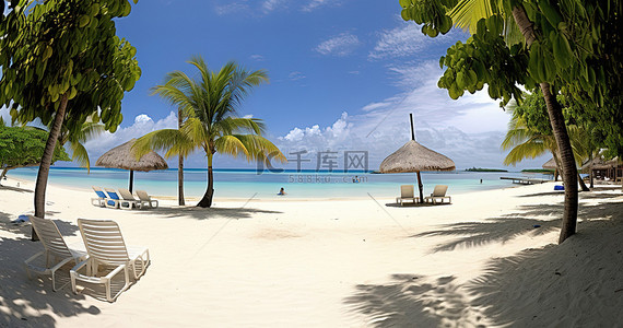 拿破仑海滩是马尔代夫著名的度假胜地