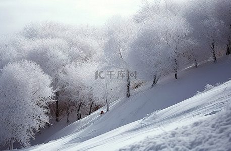 天气背景图片_一个人踩着滑雪板正在翻越一座小山
