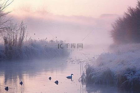 有水的地方背景图片_日出在一条河上，有雾，鸟儿飞过它