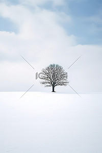 雪地里的一棵树，作者：evgeniy rybolovsky Stocky United