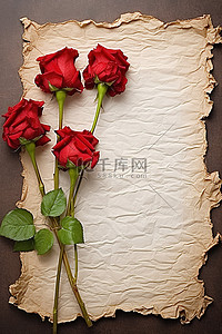 纸上的红玫瑰