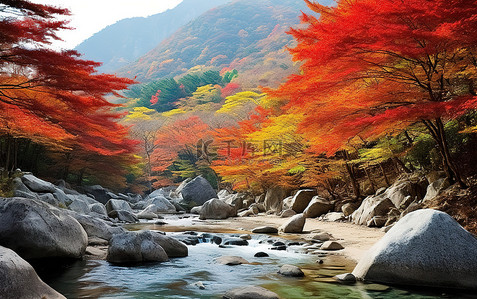 枫叶山背景图片_这个山景包含红色的树木和水